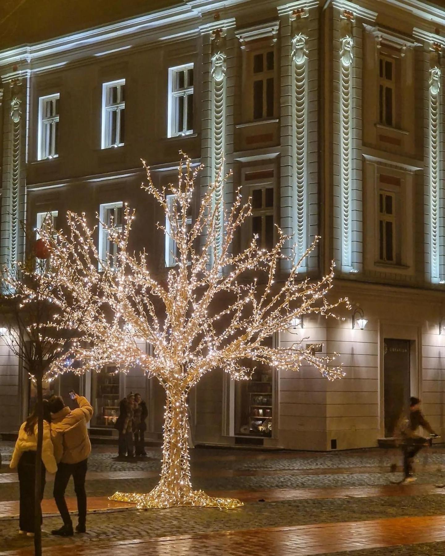 Monique's 3 * Timisoara